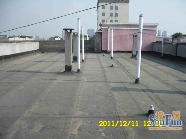 金桂花园(温江)3室2厅1卫东南朝向1700.00元/月出租