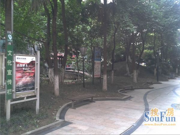 丽景华庭二期1室1厅1卫东南朝向1800.00元/月出租