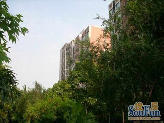 金地格林小城1室2厅1卫东北朝向2300.00元/月出租