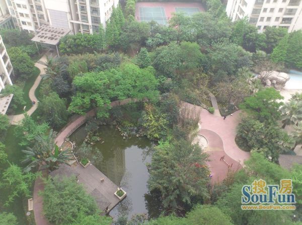 粼江峰阁2室2厅1卫西南朝向3600.00元/月出租