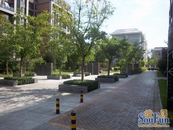 雅世合金公寓2室1厅1卫南朝向8800.00元/月出租