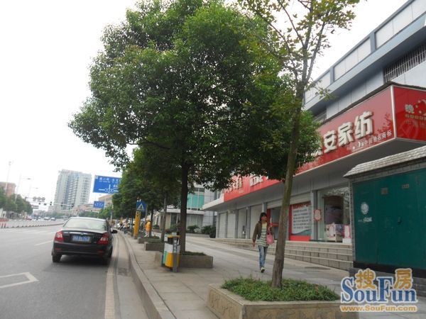 整租·望兴景园 3室2厅 东南