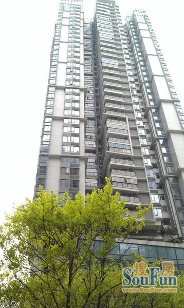 富力盛悦居4室2厅1卫南朝向6800.00元/月出租