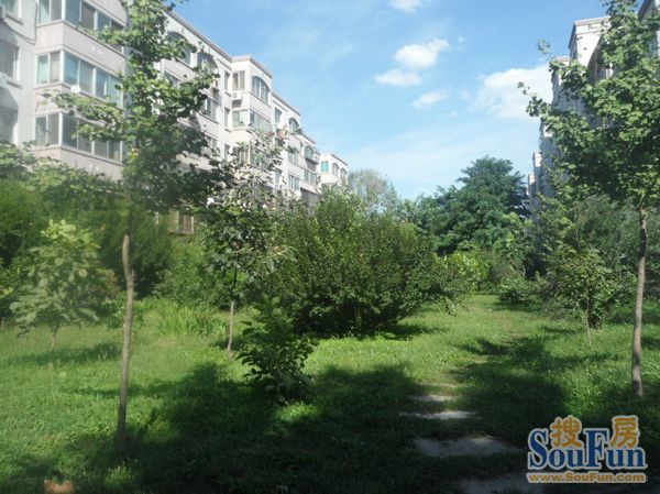 地华里2室1厅1卫南北朝向3800.00元/月出租