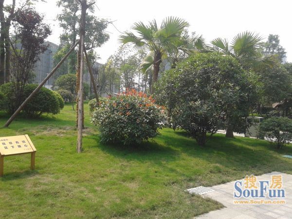 尚港领地1室1厅1卫东朝向1600.00元/月出租