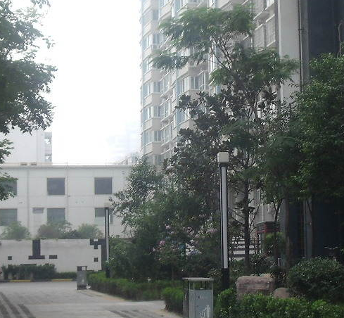 海信公寓 外景图