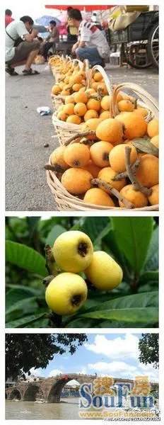 жζ  Ұǰȯ
