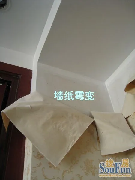 ںʦר֧У¥鷿ӦעЩ,ͼ