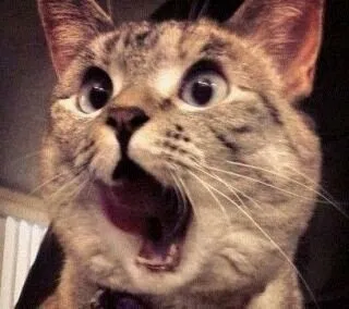 ѷСסĶ~
