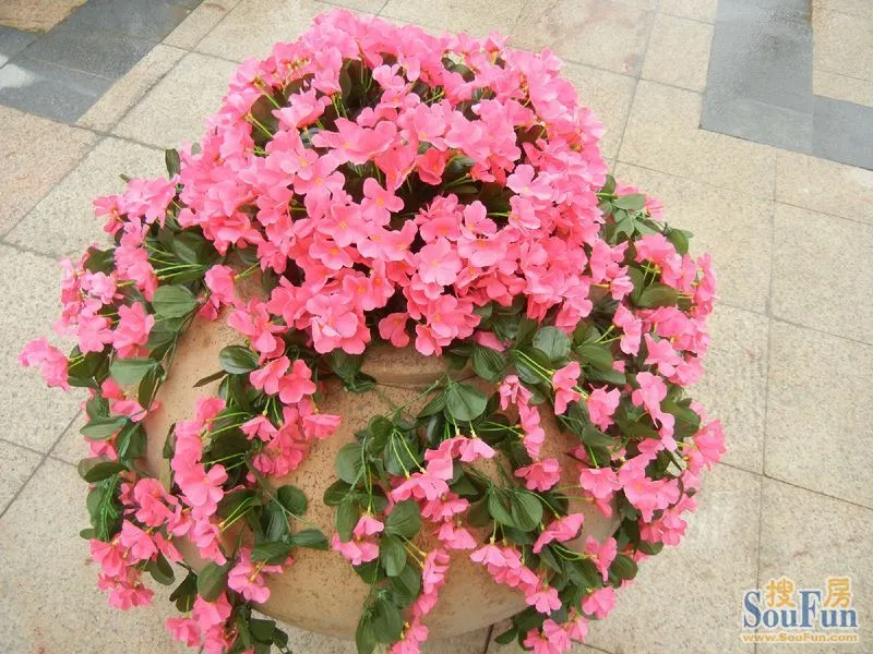 ӱ 40