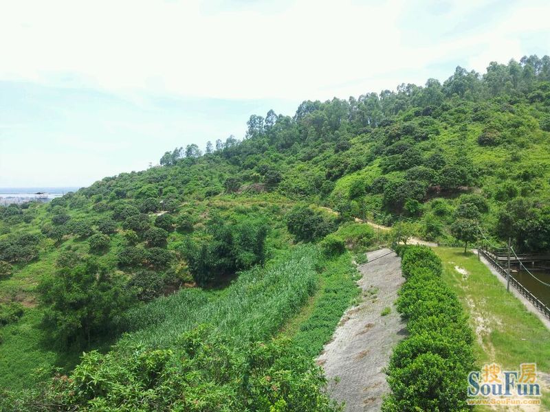 蕉门河周边的美景,尽享城市生态美景