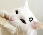 ÷ӱб׼һ˵˵еĺ÷ɶӣ