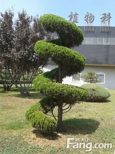 һ СĽŲȥͻ