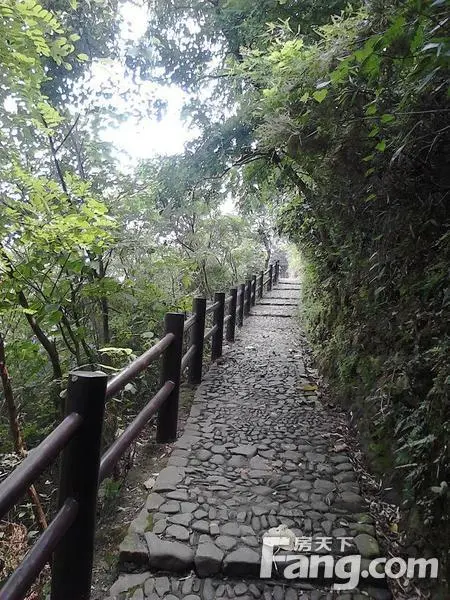 ɽˮ֮