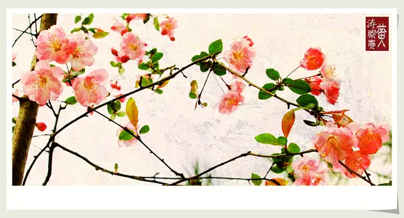 认真学习国画的画法:摄影和国画的结合《桃李满天下》