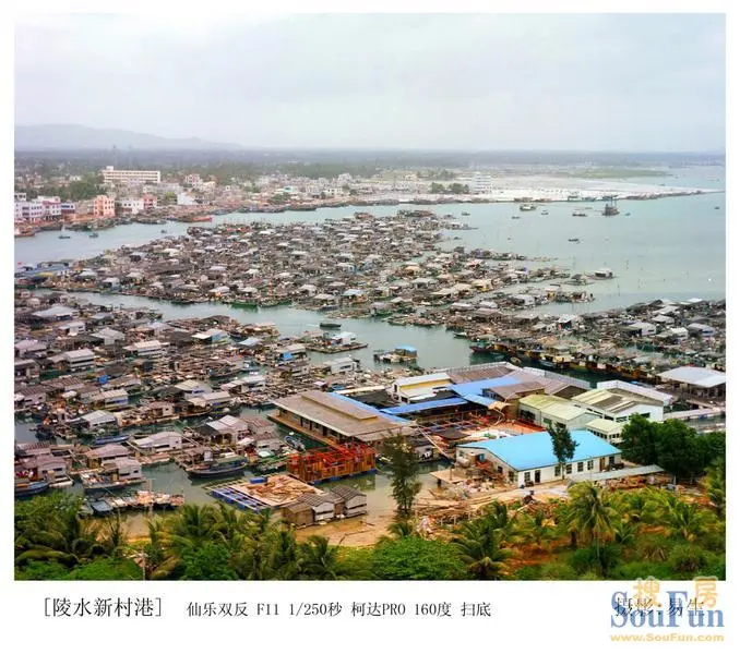 主题:陵水新村港