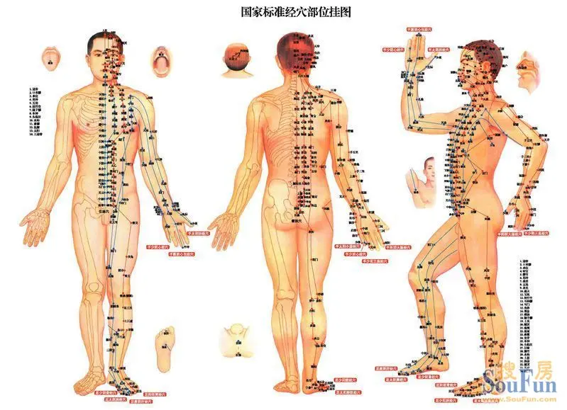 经络常通 健康无病痛