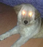 ̳֮ǣ