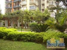 观音桥商圈房 实木家具 基装很实在 大阳台 采光好