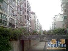 东方塞纳 南北通透,采光好 近地铁 视野好,诚心出售