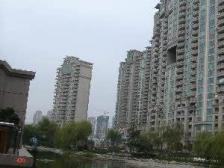 高区 美式大平层 我司本月已成交1一套 户型可随意改动