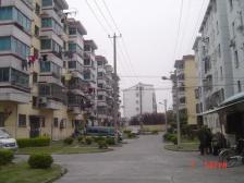 稀有东川苑+大双南+精装修+东边套