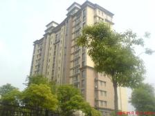 东苑新天地南区 品质小区 小区靶心位置 送50平大露台!