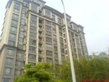 店长力荐电梯高区南北两房双阳台满五税少看房方便