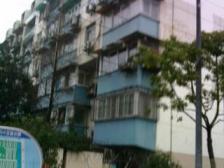 莘松四村 2室1厅1卫 南 简装