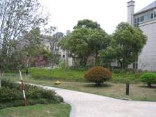 满五 正规商品房 朝南 精装好房 交通便利 临地贴 诚心出售