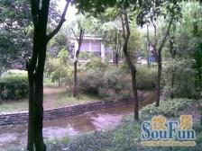 西路 金阳骑龙山庄三房110万