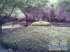 西路 金阳骑龙山庄三房116万