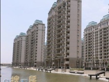 上海康城(三期)3室2厅1卫 南