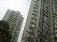 三开间朝南 临河位置 视野开阔 电梯中层 钥匙房