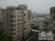 古北·金狮公寓·3室·2厅