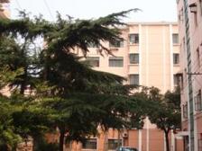 长桥·长桥五村·2室·1厅