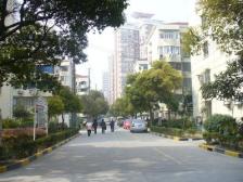 金桥 · 荷**区 · 2室 · 1厅