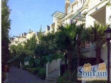 小区绿化好,洋房小区,板式户型业主安心卖洋房带露台