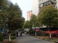 精装修顶楼复试、带南北露台、小区中间位置、诚心出售