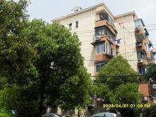 中环内蕞低总价两房,颂南向小院,面朝公园,春暖花开