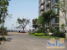 此楼栋停车免费 近大门口出行方便 诚心出售