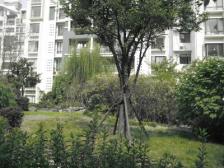 出门即D铁 不靠马路 南北通户型 全明采光佳