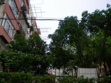 古美罗阳·古美七村·2室·2厅