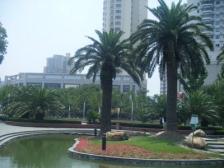 电梯房,大开间,环境优美,精装修