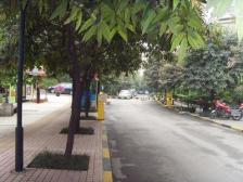 经开区 金阳罗马假日三房75万