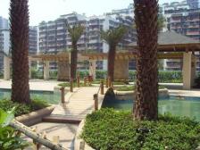 金阳罗马假日 2室2厅 南