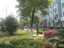 青山湖小区 南北通透,采光好 装修好,环镜优美 近地铁 视野好,诚心出售