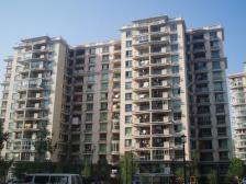 中间楼层 无抵押 电梯房,新上房源