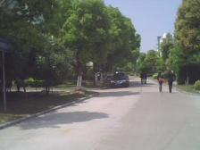 中叠,楼间距大,南北户型,3-4层,户型正气,体验好