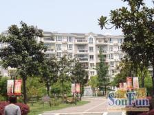 新世纪花苑(三期)(浦东) 1室1厅 南